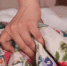 Умные хозяйки давно отказались от пододеяльников: нашли идеальную замену 2 в 1 - Pg13.Ru