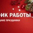 О порядке работы медицинских организаций в праздничные дни с 31 декабря 2025 г. по 11 января 2026 г. - Минздрав