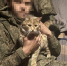 Завершение очередного года войны не несёт в себе признаки скорого мира — обзорная сводка - Столица С