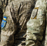 Два миллиона 200 тысяч украинцев бегают от службы в армии - Столица С