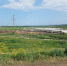 Мордовия продала за границу больше 9 тысяч тонн жома и масла - Pg13.Ru