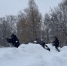 img - ЛДПР