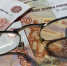 Инвалидам и ветеранам в феврале повысят выплаты - Info-Rm.Com