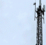МТС добавила LTE-скорости в промышленном селе Мордовии - Info-Rm.Com