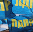 img - ЛДПР