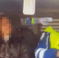 В Мордовии поймали двух нетрезвых водителей: один из них — девушка - Столица С