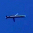 Над Ираном замечены ракеты США Tomahawk с крыльями, как у Су-47 "Беркут" - Вестник Мордовии