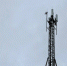 МТС добавила LTE-скорости в развитом промышленном селе Мордовии - Министерство цифры Республики Мордовия