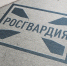 В Мордовии начальник вневедомственной охраны территориального управления Росгвардии проведет прямую линию - Росгвардия