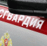 В Мордовии за неделю сотрудники вневедомственной охраны Росгвардии более 60 раз выезжали по сигналу «Тревога» на охраняемые объекты - Столица С