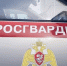 В Саранске задержаны хулиганы, повредившие терминал для оплаты - Столица С