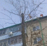 cgPTWgzj2pzzTxGoD03I4XAUk_DxTh1sm-Ivv36ryo2WtniFARg675uRKSz5rV1YusGQBaz-_g-I7mkXiGfrQdVg - Известия Мордовии
