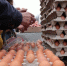 Минэкономики РМ опубликовало цены на на продукты предпасхальной ярмарки 4 апреля - Вестник Мордовии