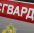 В Мордовии сотрудники Росгвардии свыше 60 раз выезжали по сигналу «тревога» за неделю - Pg13.Ru