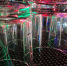 Участнику гулянки в Мордовии дали год колонии условно - Info-Rm.Com