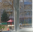 Подоконник будет белее снега: копеечное средство из аптеки превращает подоконник в белоснежную гладь - Pg13.Ru