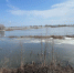 В Мордовии уровень воды в Мокше снова начал подниматься - Info-Rm.Com