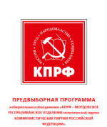 ПРЕДВЫБОРНАЯ ПРОГРАММА