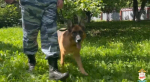 В Мордовии спасли пенсионерку